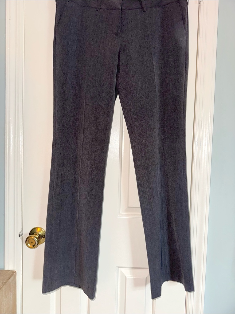 The Limited Women's Dress Pants in Charcoal Gray